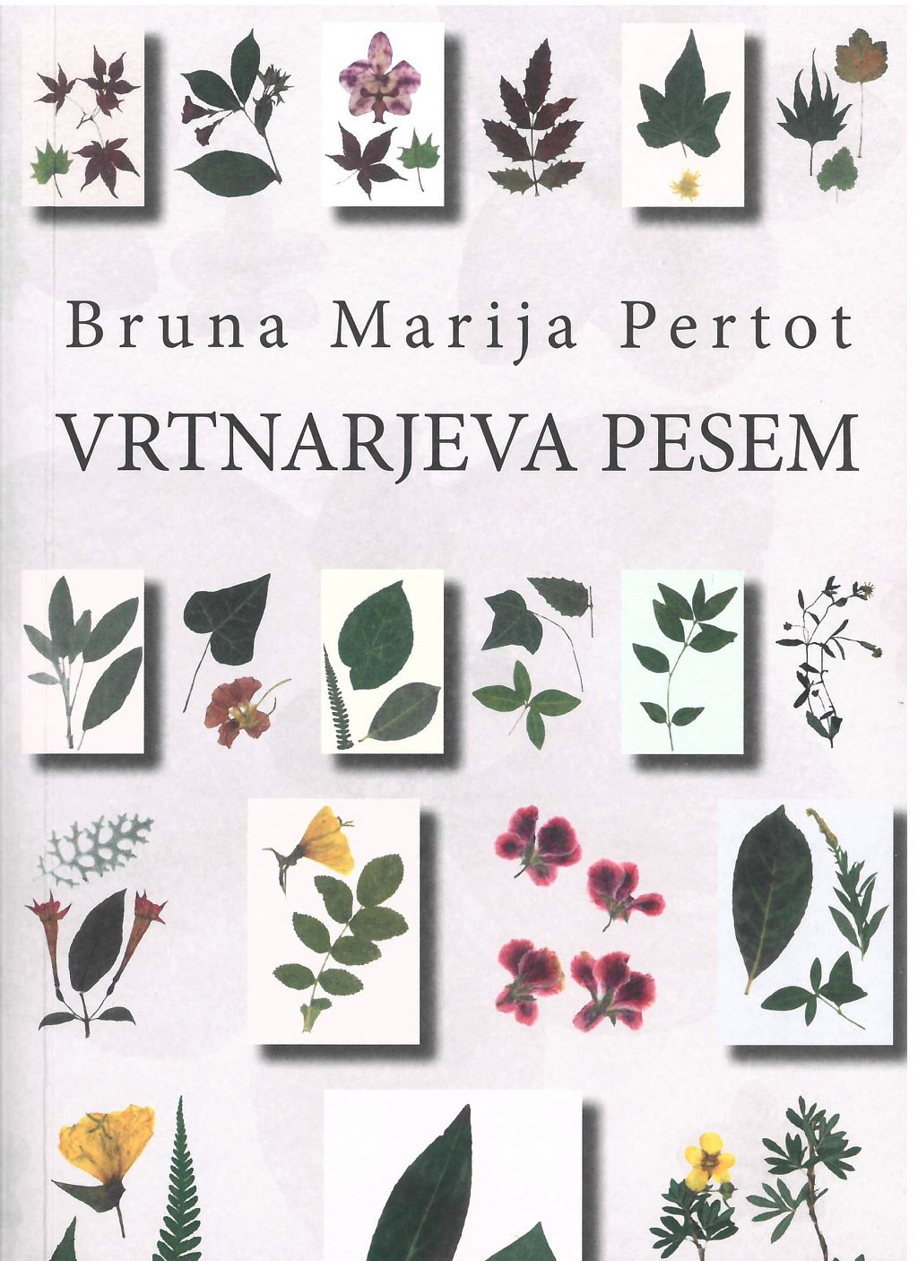 Vrtnarjeva pesem