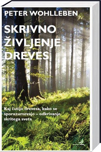 Skrivno življenje dreves