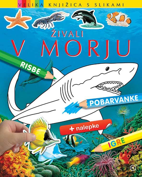 Živali v morju