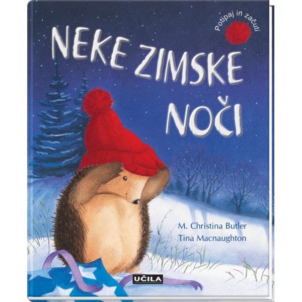 Neke zimske noči