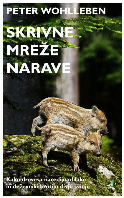 Skrivne mreže narave