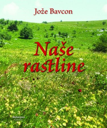 Naše rastline