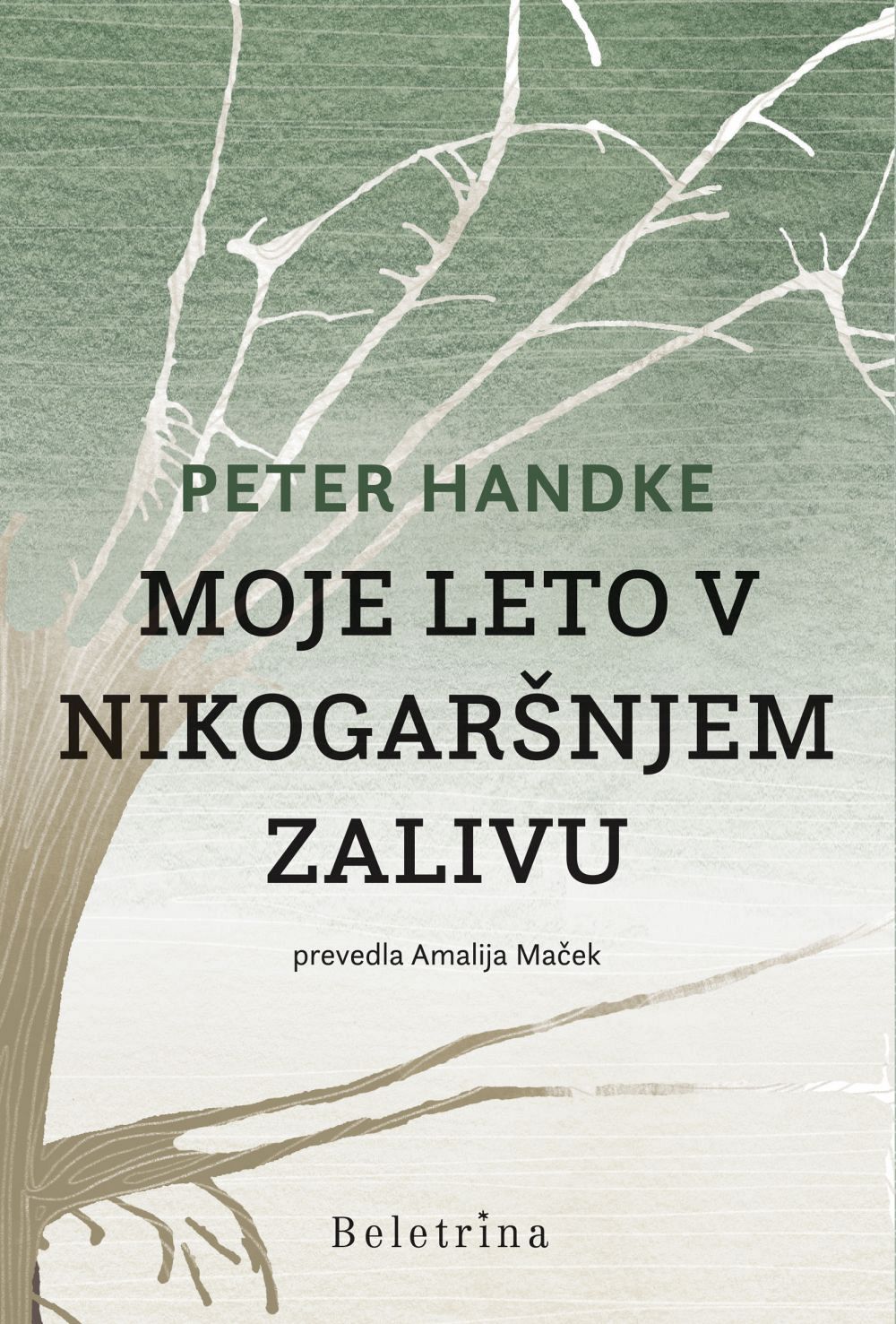 Moje leto v Nikogaršnjem zalivu