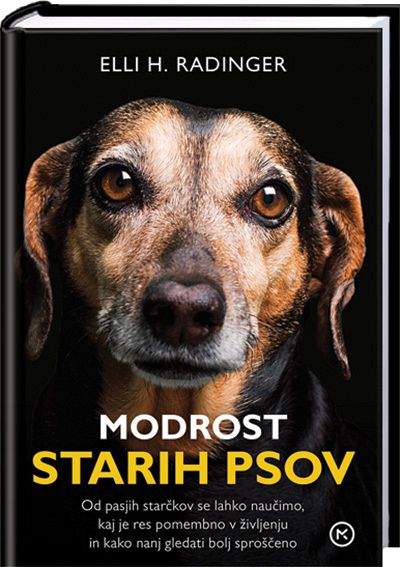 Modrost starih psov