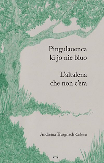 Pingulauenca ki jo nie bluo / L’altalena che non c’era