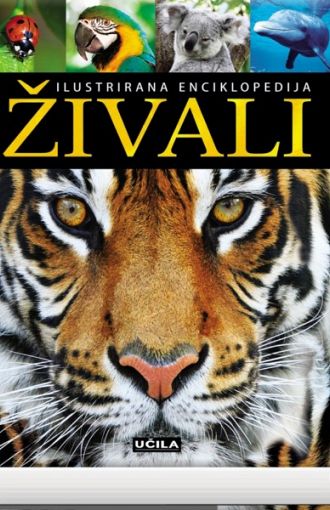Ilustrirana enciklopedija živali