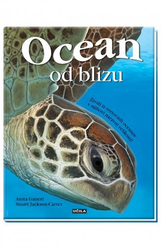 Ocean od blizu