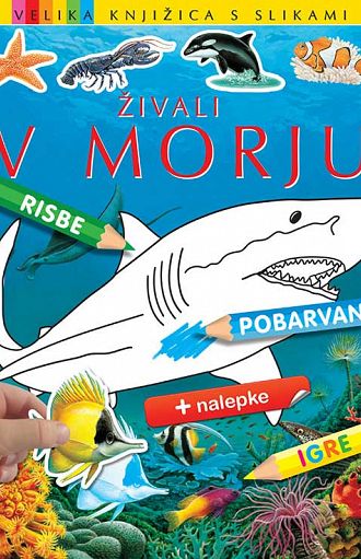 Živali v morju