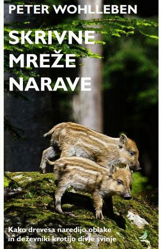 Skrivne mreže narave