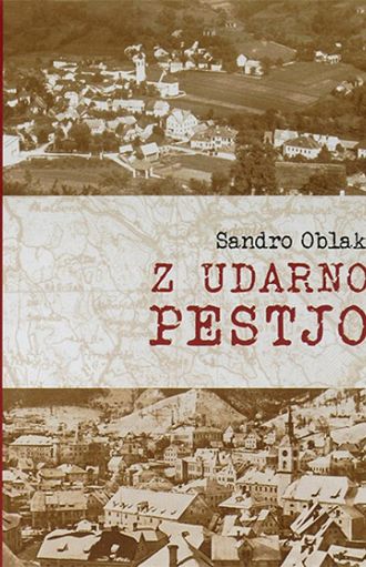 Z udarno pestjo